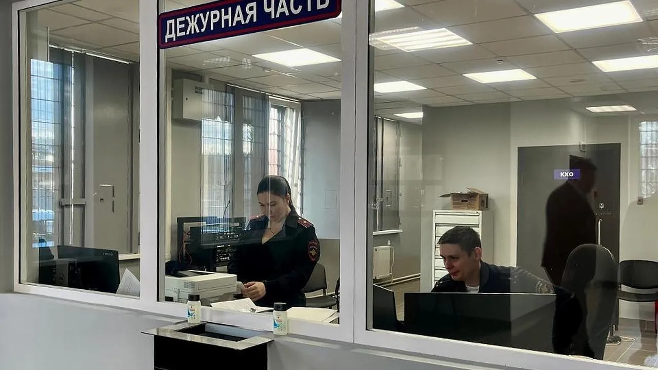 МедиаБанк Подмосковья/Анна Тюрюмина