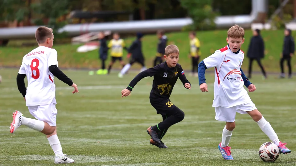 Фото: REGIONS/Ольга Пятикрестовская