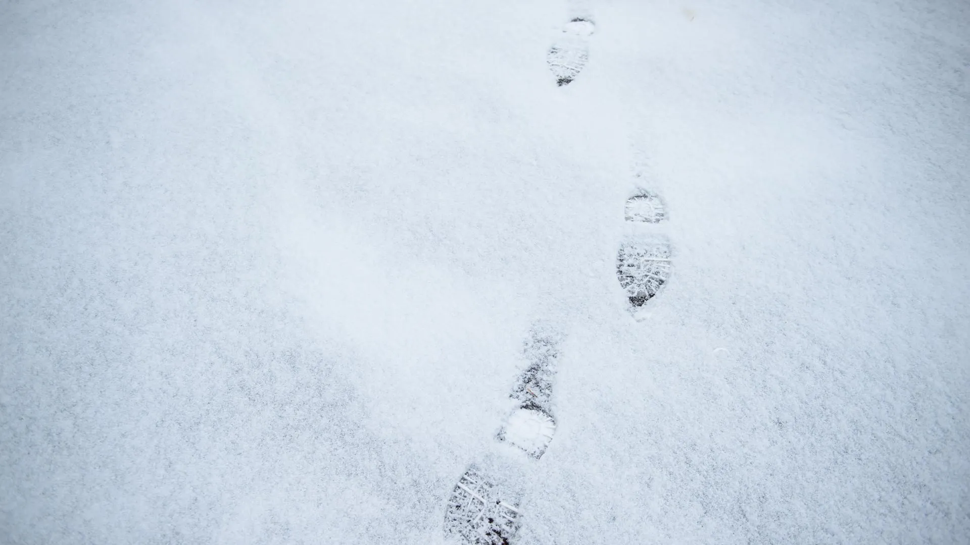 Медиаархив Подмосковья