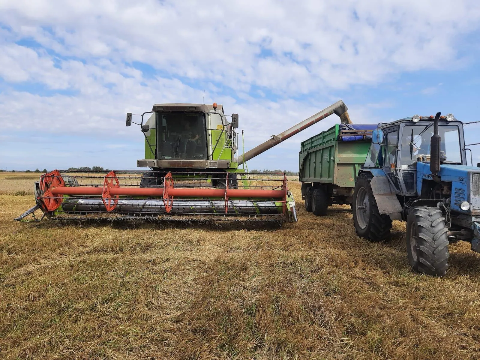 Фото: Пресс-служба администрации г.о. Воскресенск