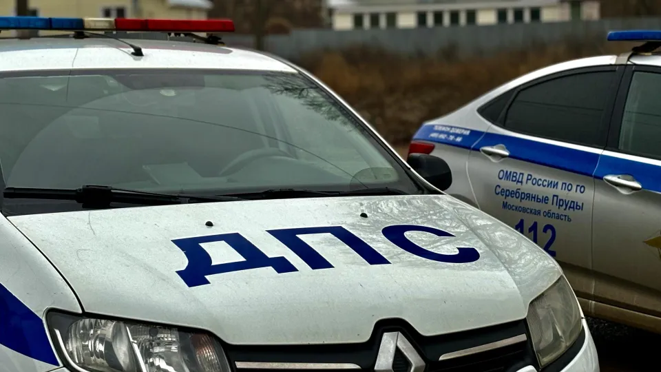 Фото: Госавтоинспекция г.о. Серебряные Пруды