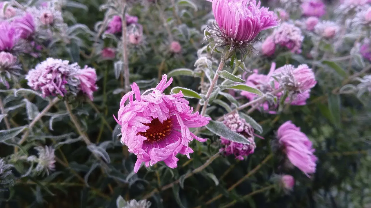 Фото: REGIONS/Василий Тремасов