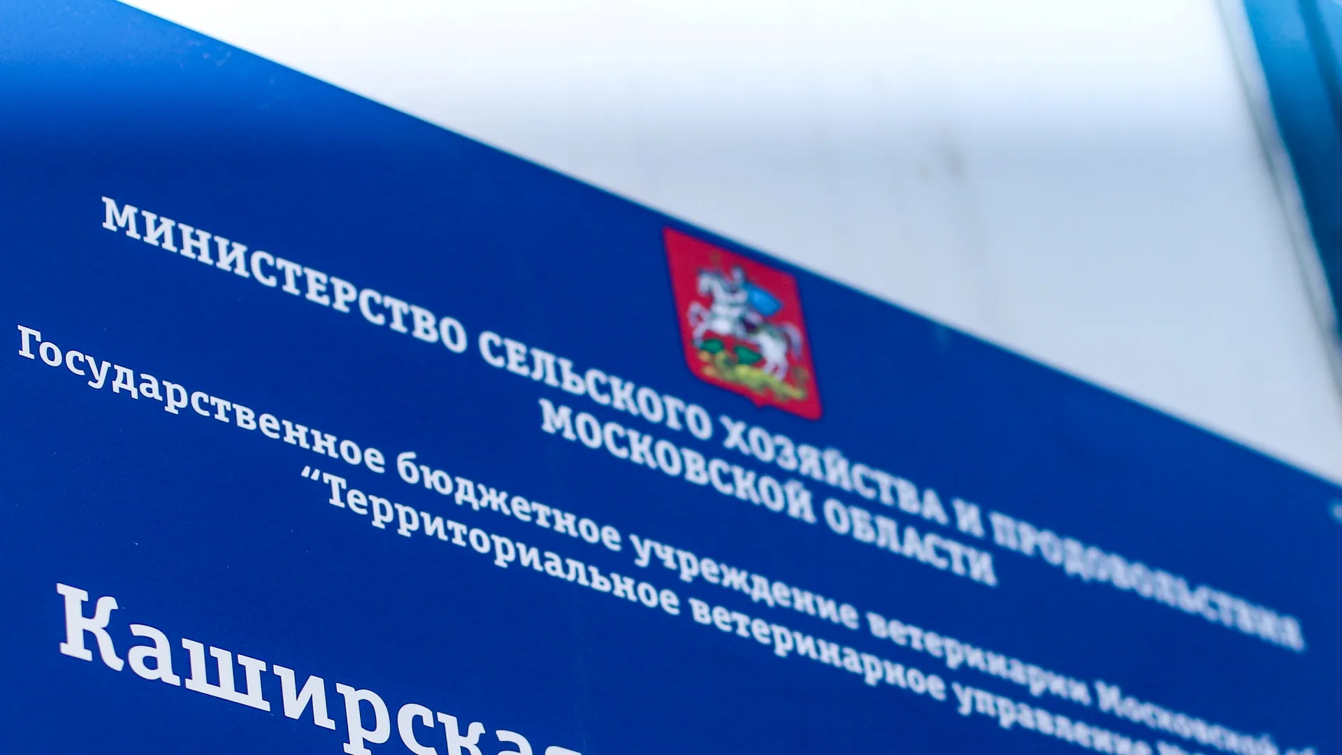 Фото: пресс-служба администрации г.о. Кашира