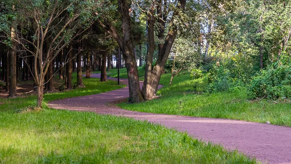 Фото: пресс-служба администрации Одинцовского городского округа