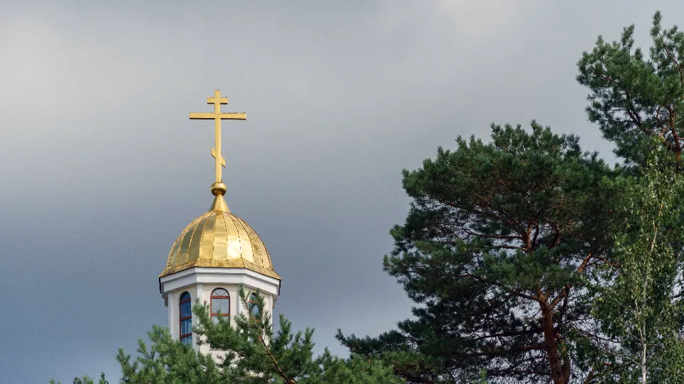 Фото: медиасток.рф