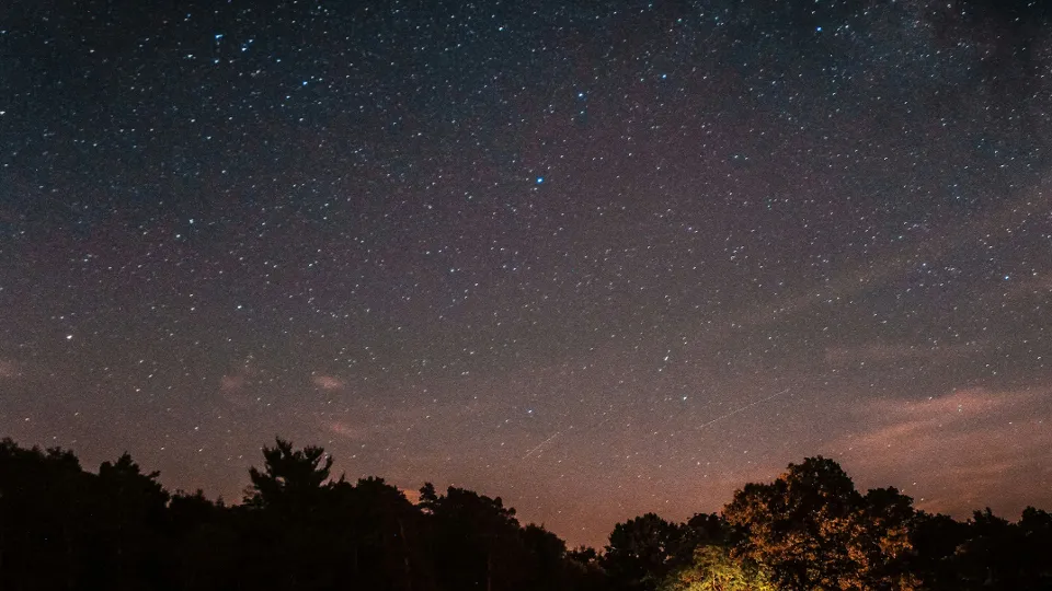 Фото: unsplash.com