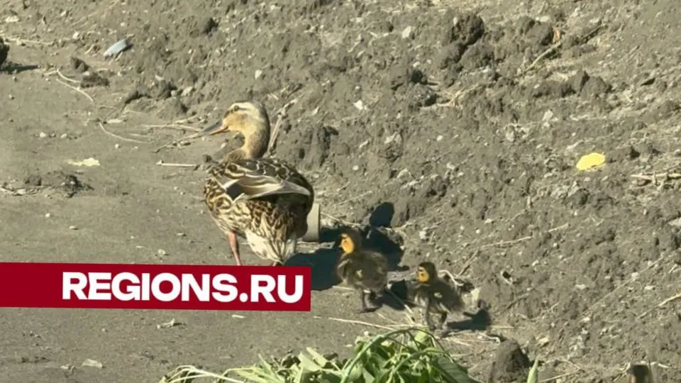 Фото: Андрей Савельев