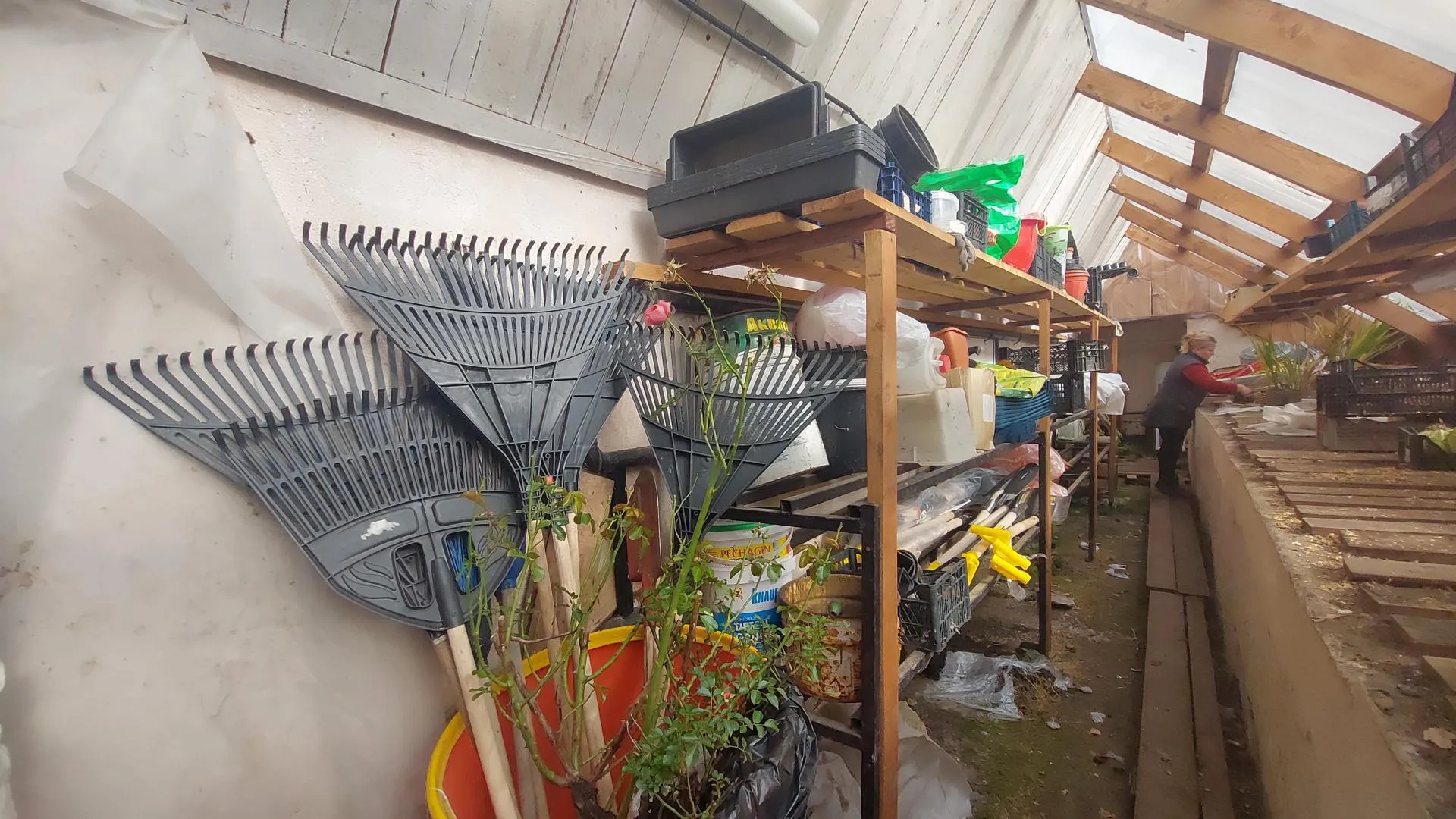 Татьяна Афанасьева