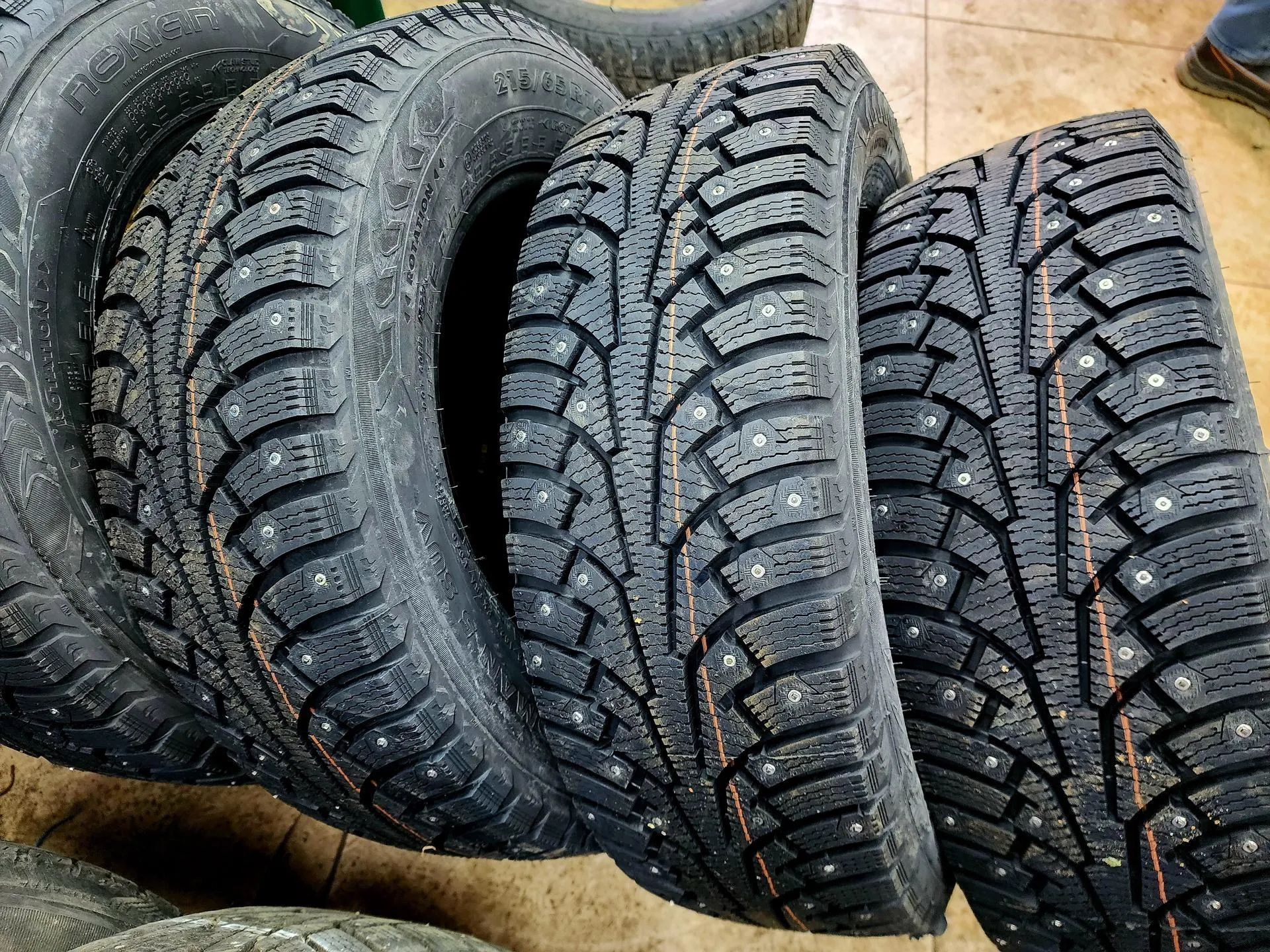 Фото: Михаил Мартыненко