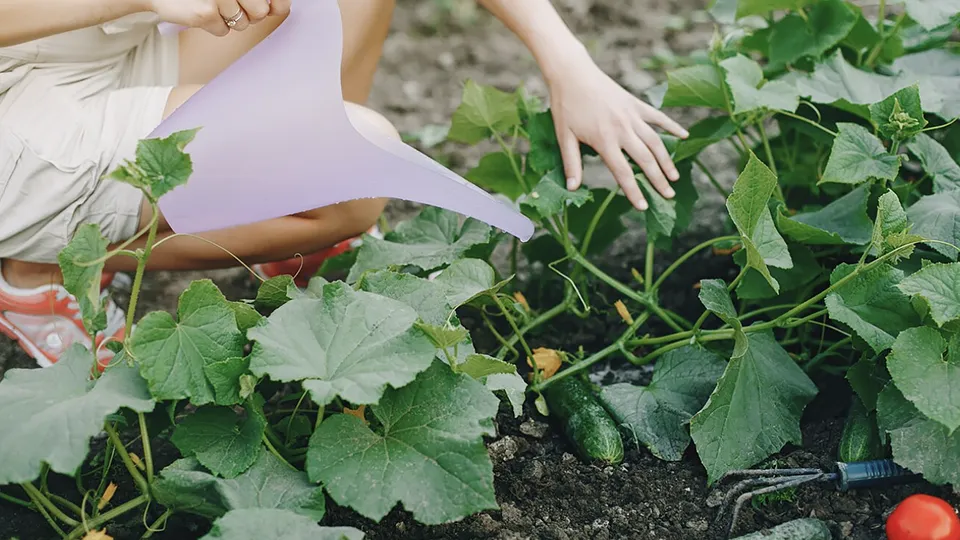 Фото: freepik.com