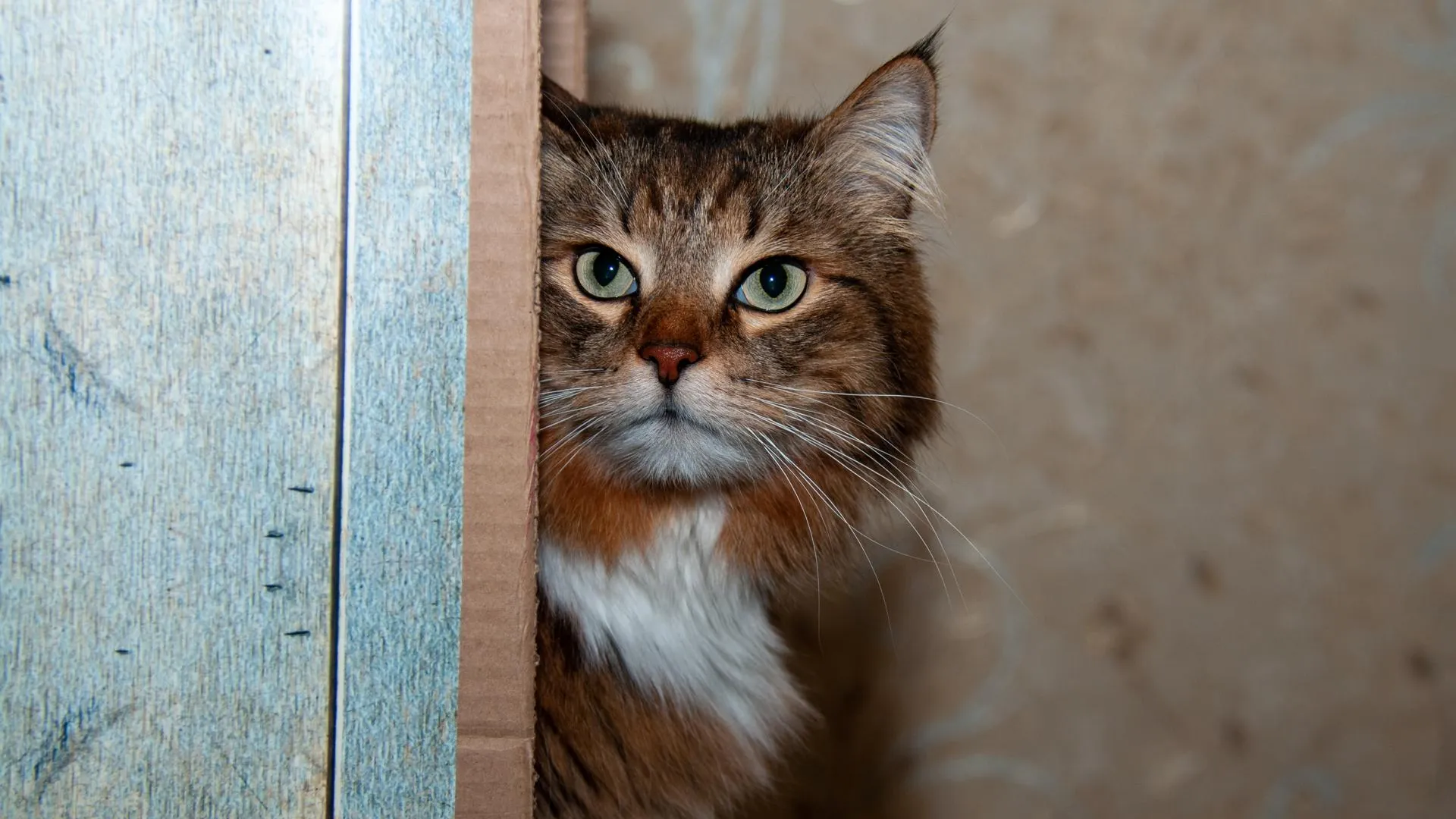 Svetlana Vozmilova/Global Look Press