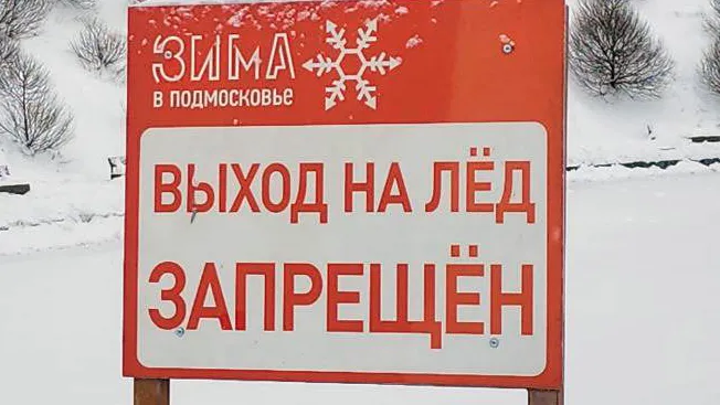 Фото: Мария Амелина