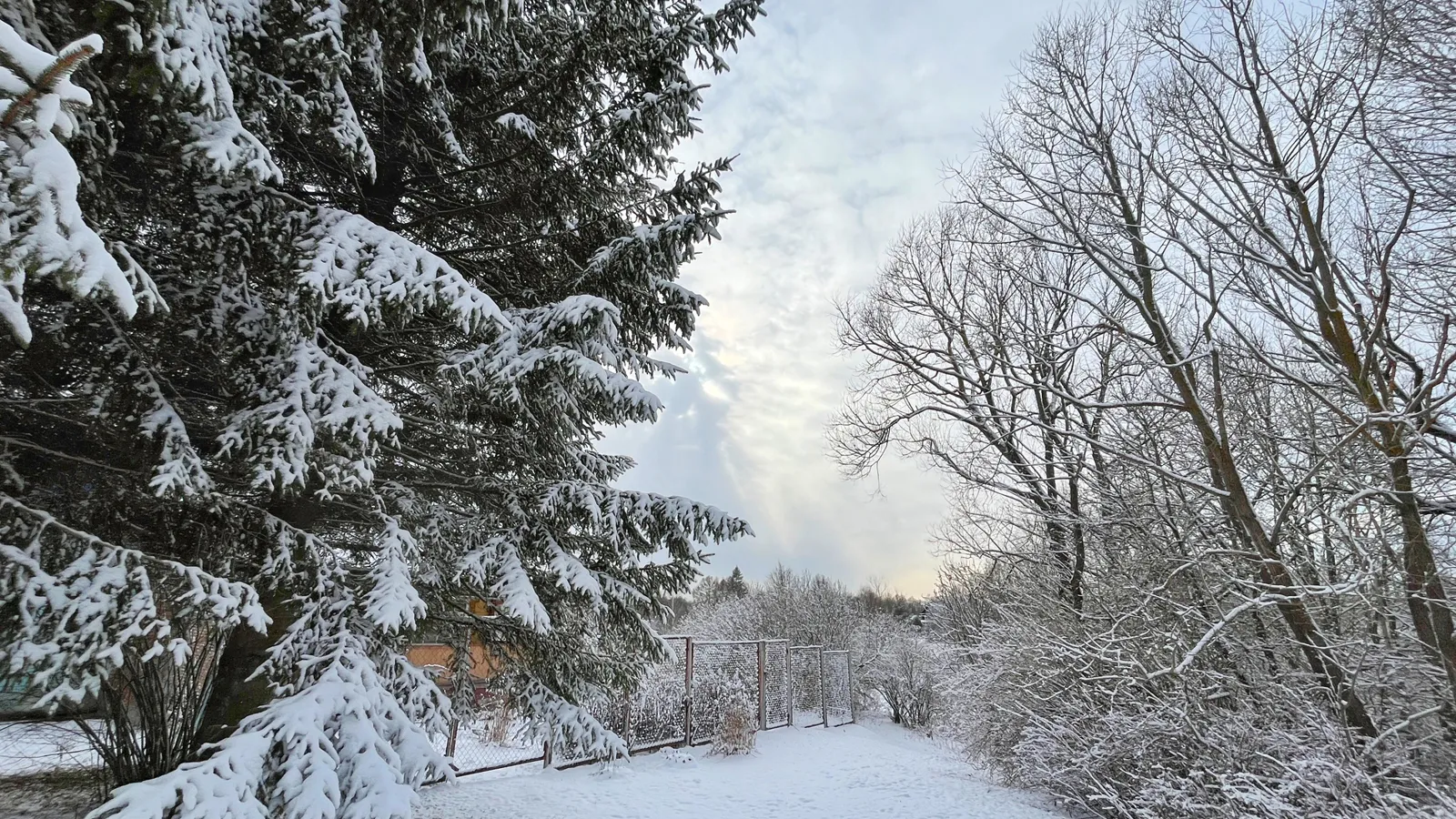 Фото: Юрий Котов