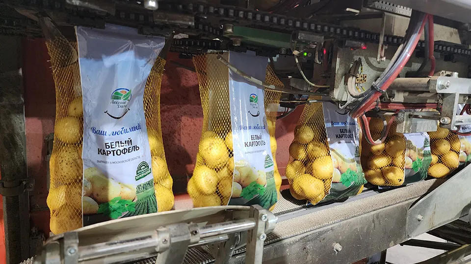 Фото: Медиабанк Подмосковья/Андросова Юлия