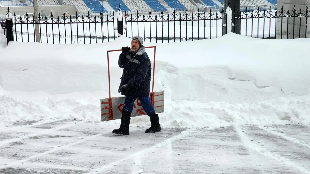 REGIONS/Мария Шигорева