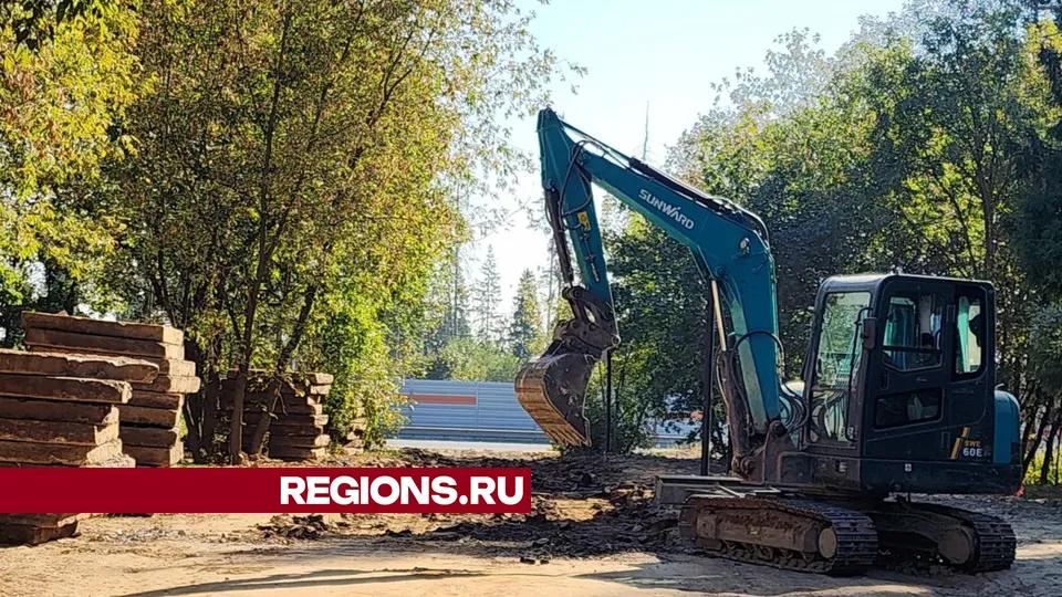 Фото: Хавива Фонина