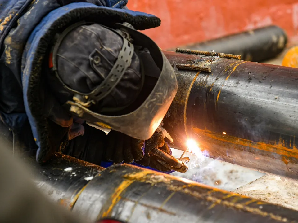 Фото: пресс-служба администрации г.о. Химки