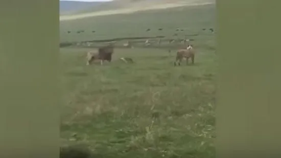 Скриншот видео Youtube