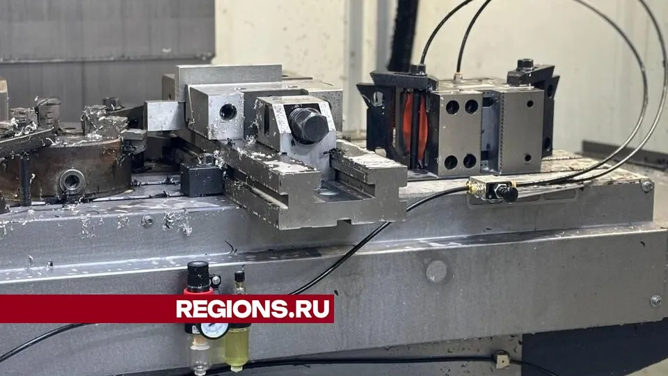 Фото: Светлана Плотникова