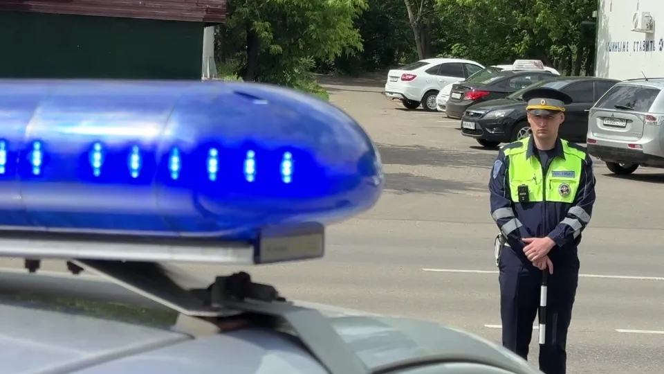 Фото: МедиаБанк Подмосковья/Ксения Казакова