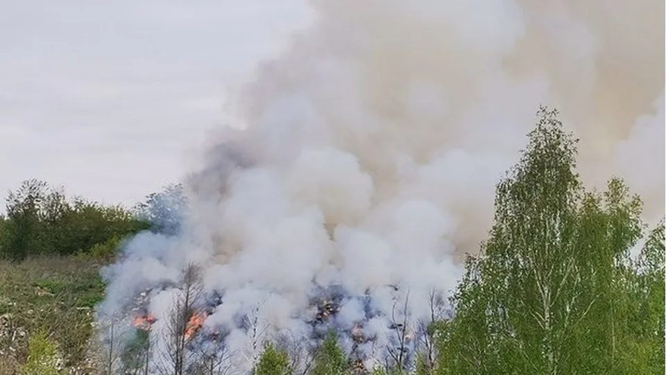 Фото: t.me/vestisofino