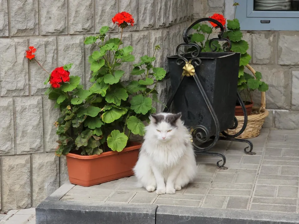 Фото: REGIONS/Артем Мишуков