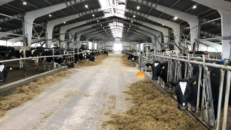 В 2022 году на развитие агробизнеса в Подмосковье было выдано грантов более чем на 100 млн рублей