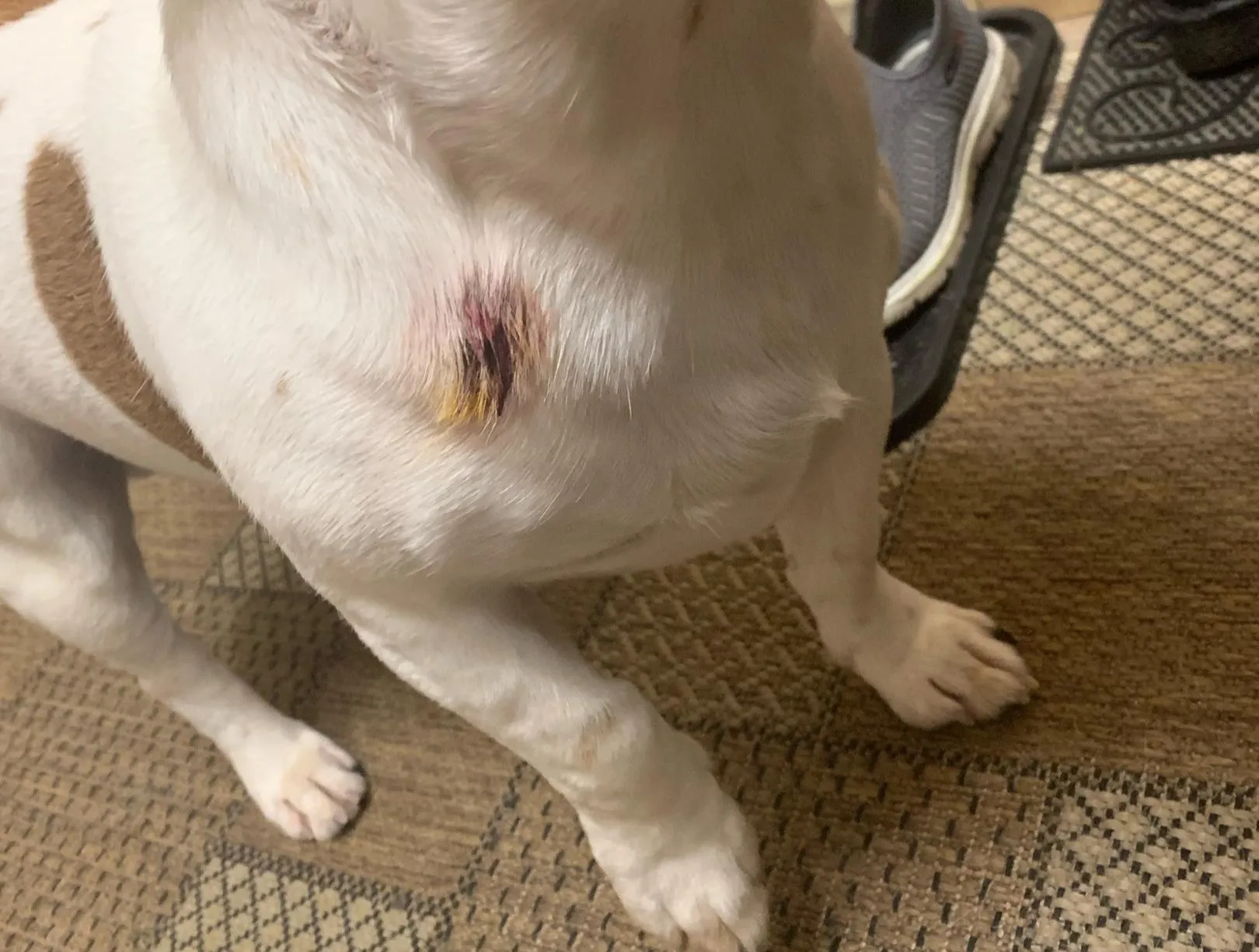 Социальные сети