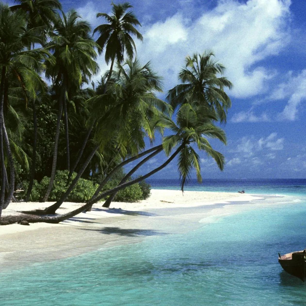 M. Lohmann/blickwinkel