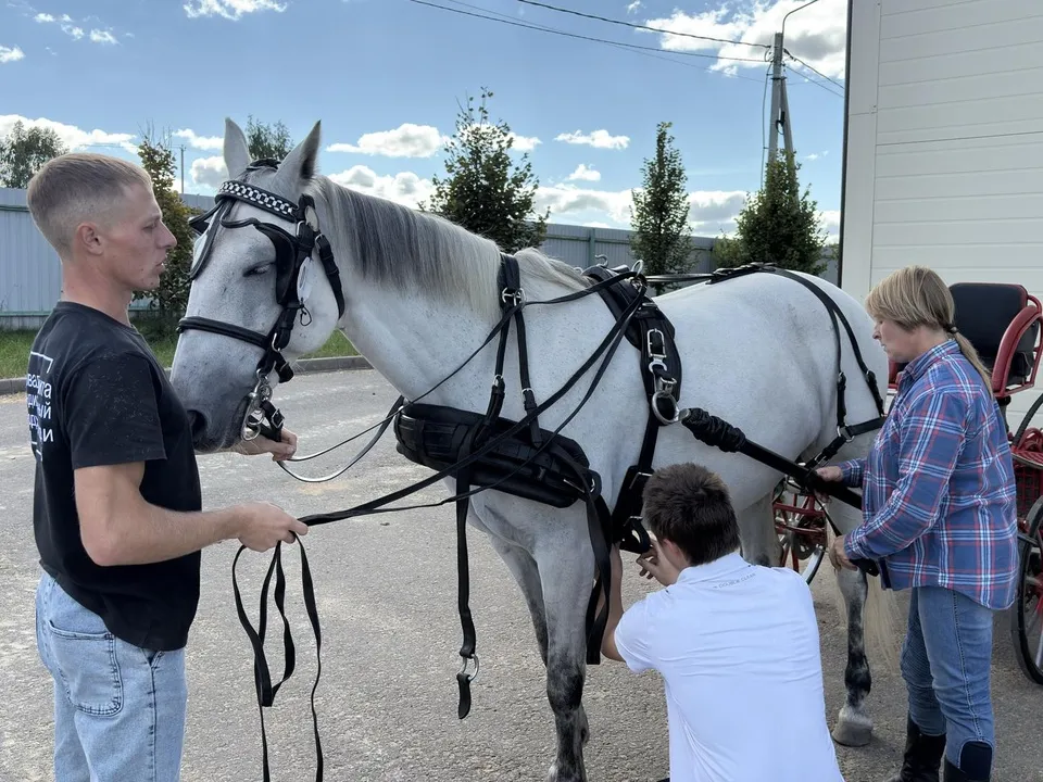 Фото: Медиабанк Подмосковья/Анна Нестерова