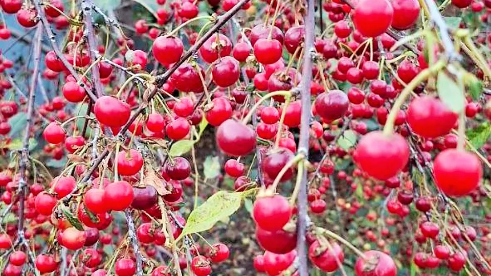 Фото: REGIONS/Юлия Габбасова