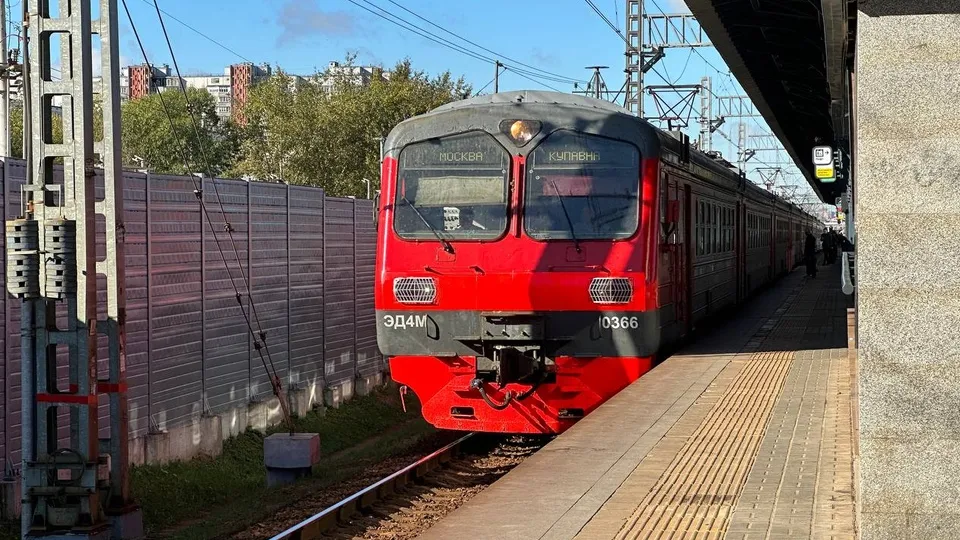 Фото: МедиаБанк Подмосковья/Ксения Казакова