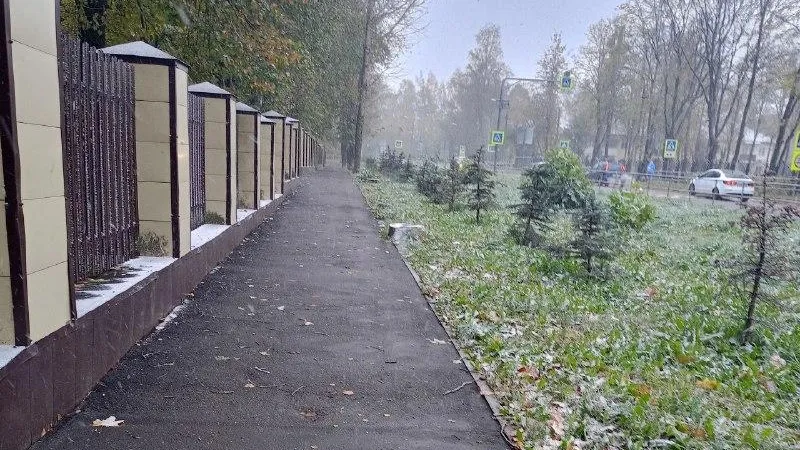 фото: Соцсети