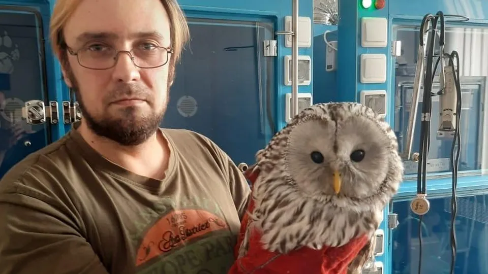 Фото: Пресс-служба Минсельхозпрод МО