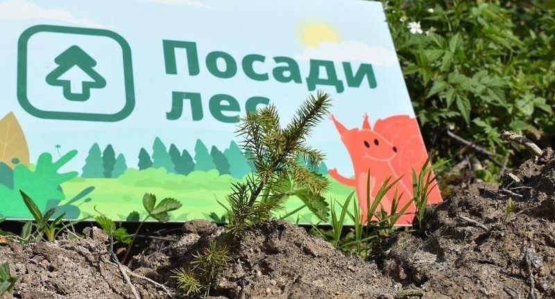 Жителей Подмосковья пригласили на всероссийские экологические конкурсы