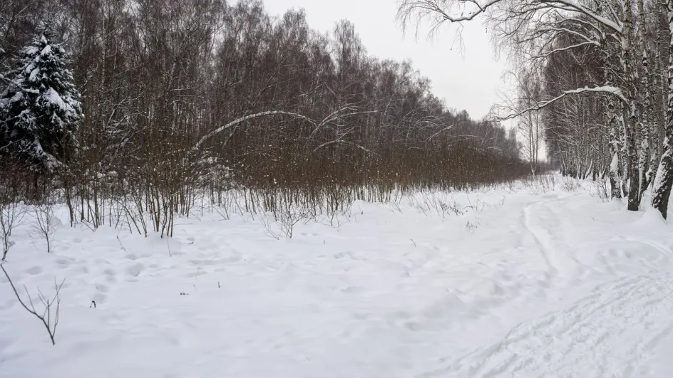 Фото: медиасток.рф