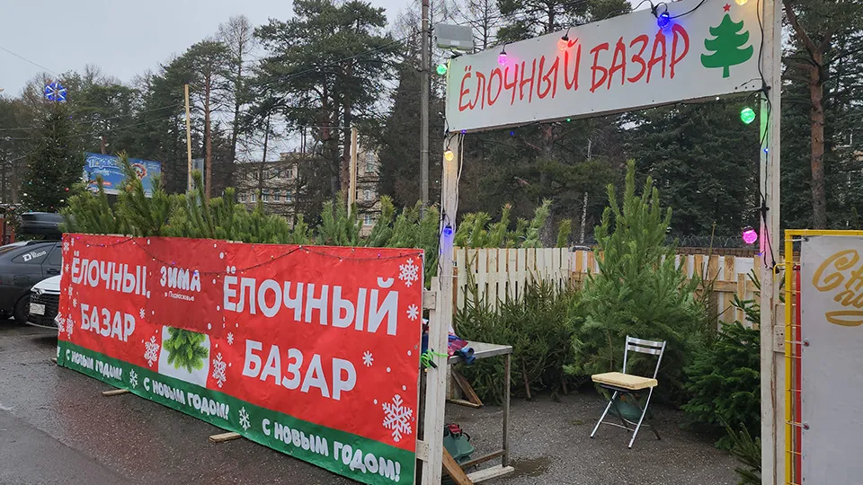 Фото: МедиаБанк Подмосковья/Роман Кутузов