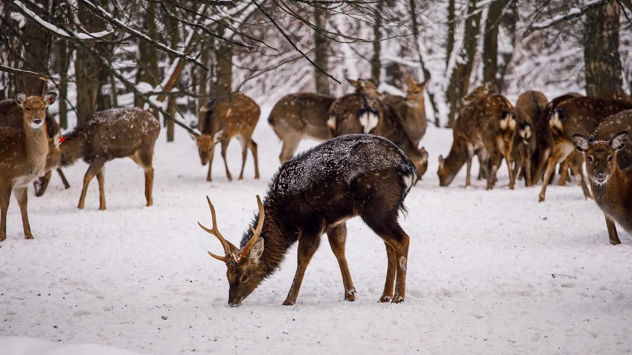 медиасток.рф