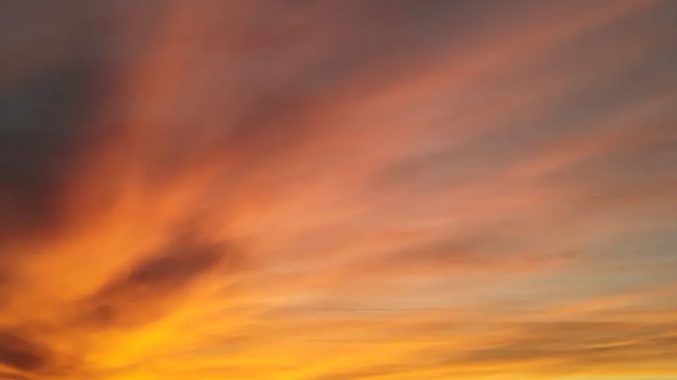 Фото: REGIONS/Юлия Куделькина