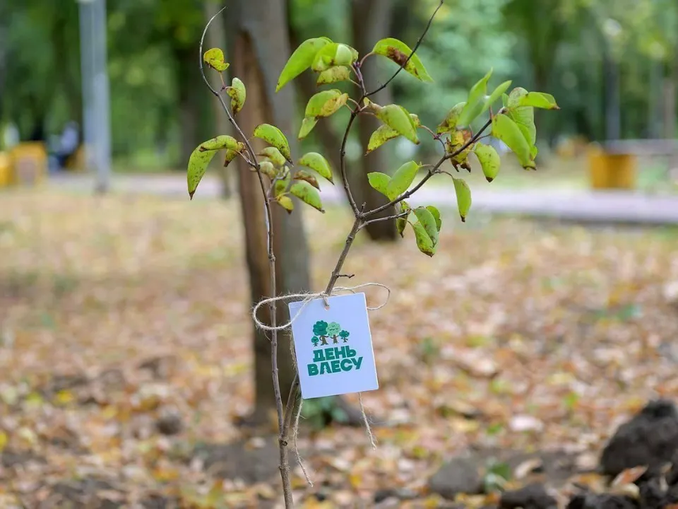 Фото: пресс-служба администрации г. о. Подольск