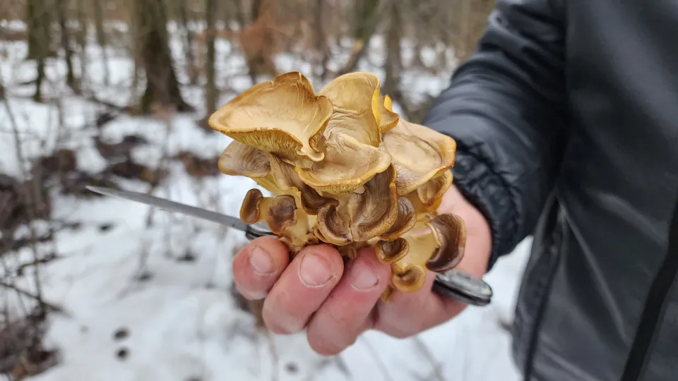 Фото: МедиаБанк Подмосковья/Ольга Аввакумова