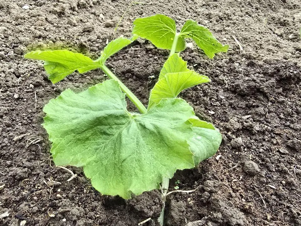 Фото: Яна Шаливская