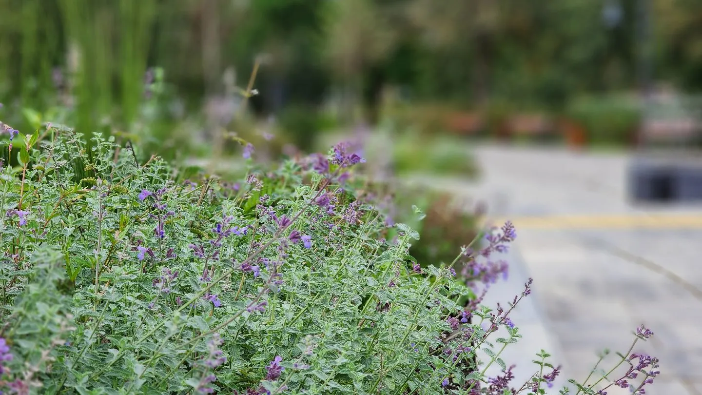 Фото: Медиабанк Подмосковья/Ксения Пашуто
