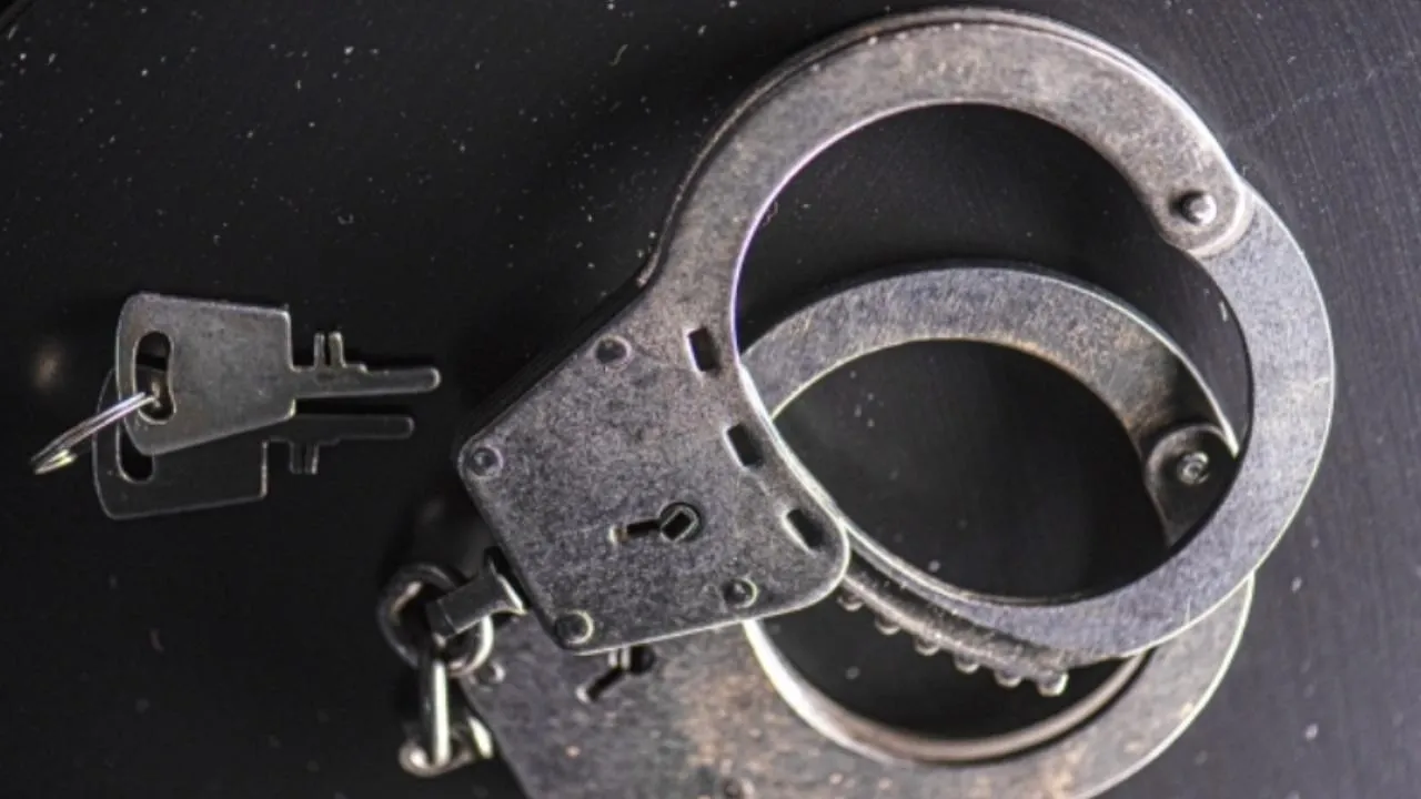 Полиция Санкт-Петербурга задержала подозреваемого в похищении человека