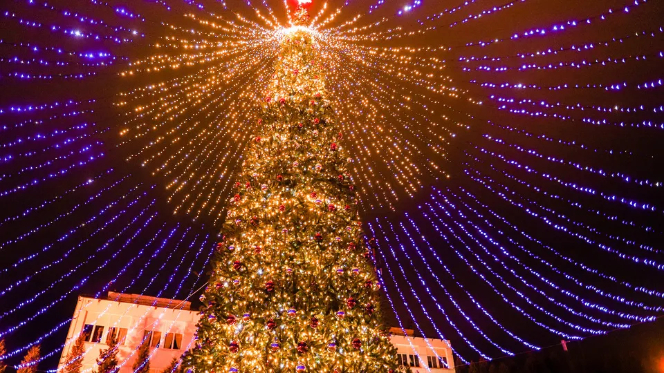 Фото: пресс-служба администрации г.о. Кашира