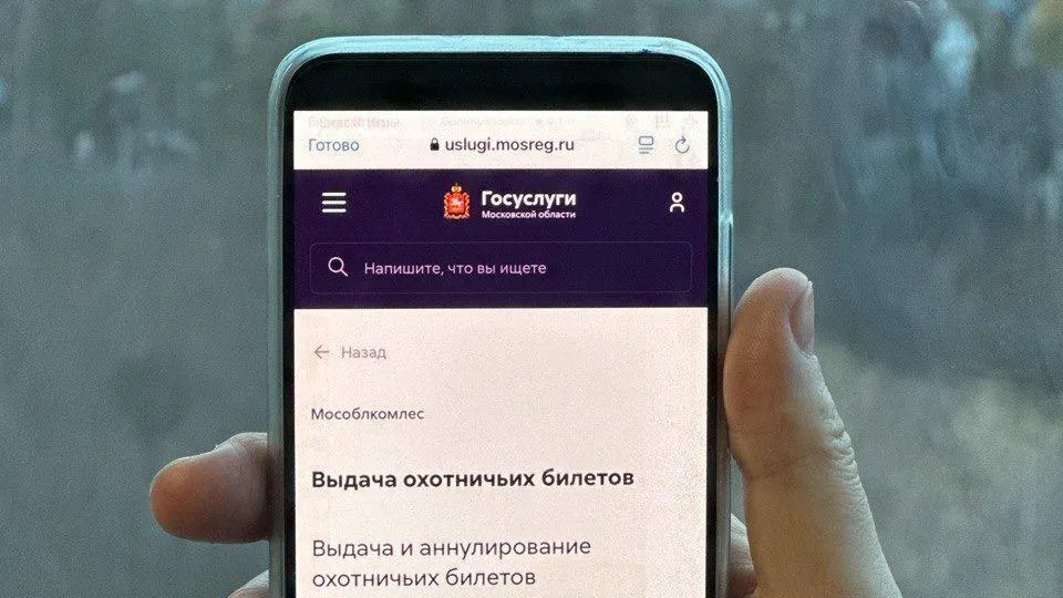 В Подмосковье охотничьи билеты с начала года получили почти 800 человек