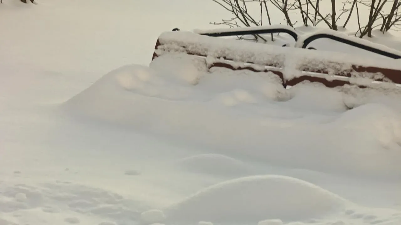 REGIONS/Алексей Селиверстов