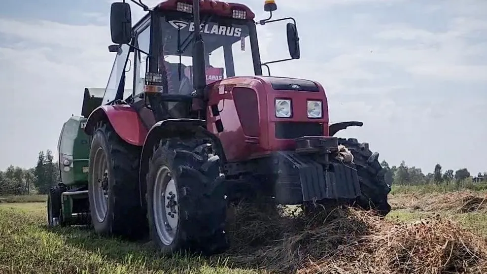 Фото: Ольга Антонова