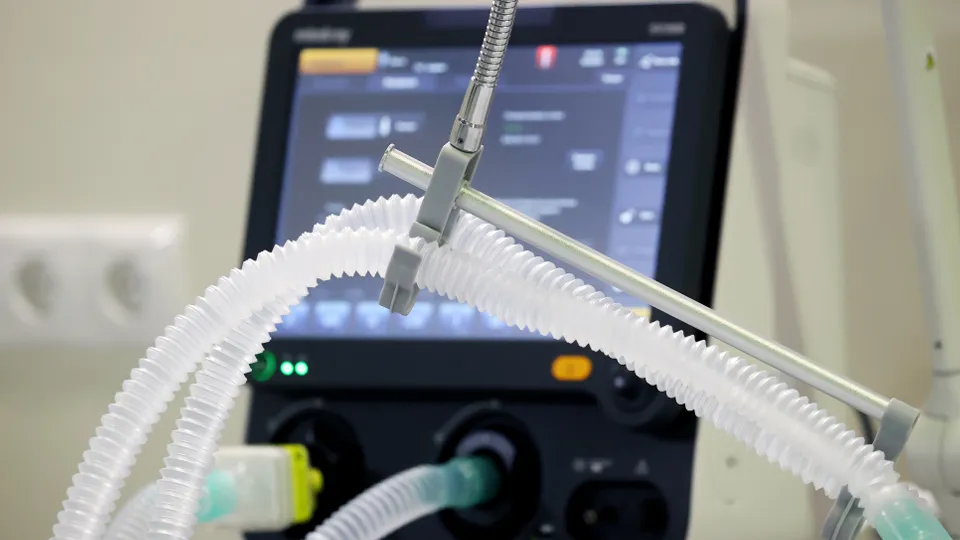 Фото: ТАСС/Владимир Гердо