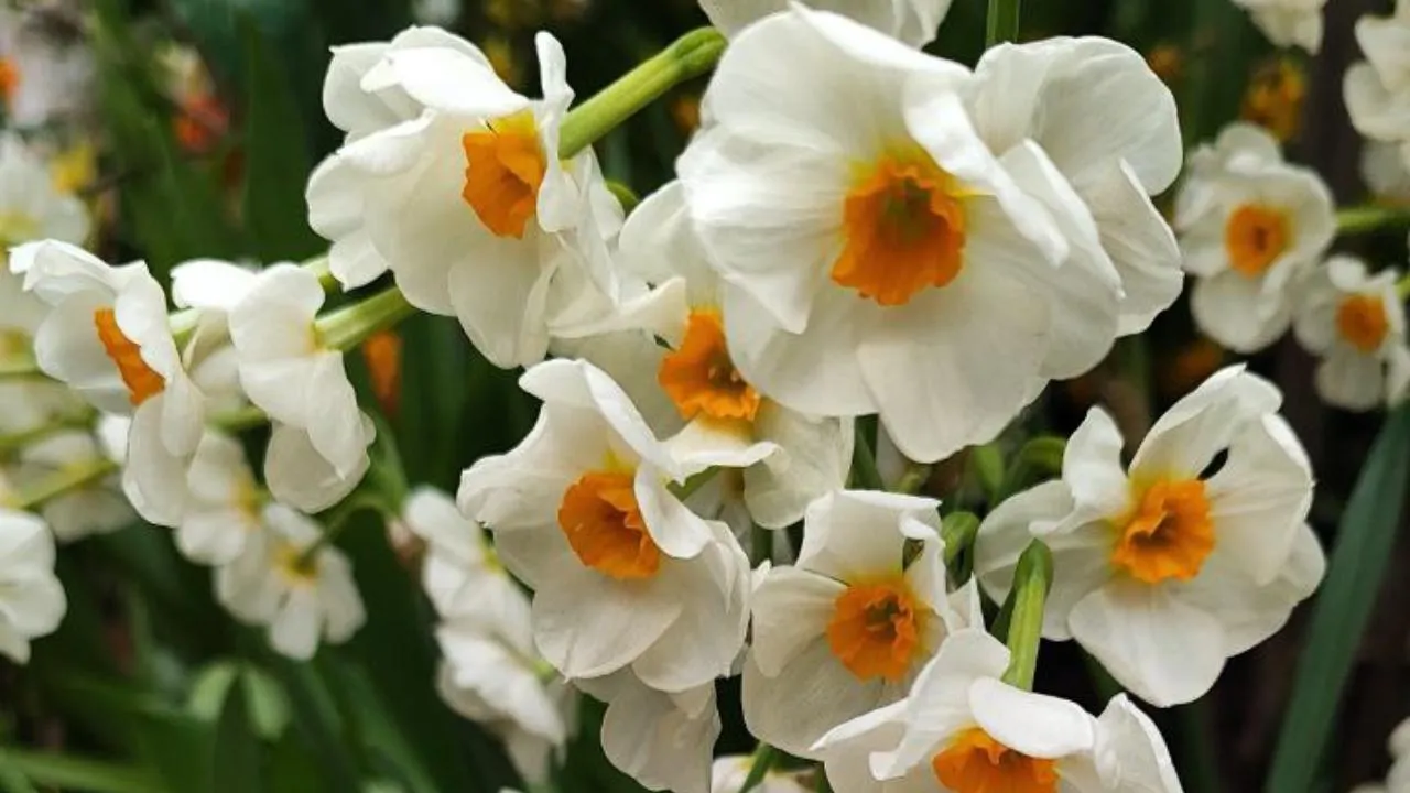 REGIONS/Марина Коркина